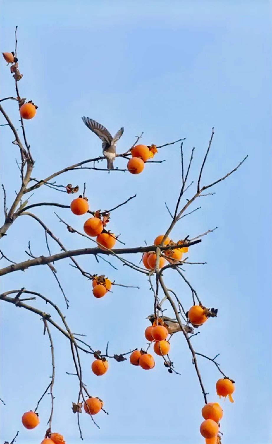 我经常会翻看网上那些整容的视频，整个过程触目惊心，真的让人无法理解，为什么有的女