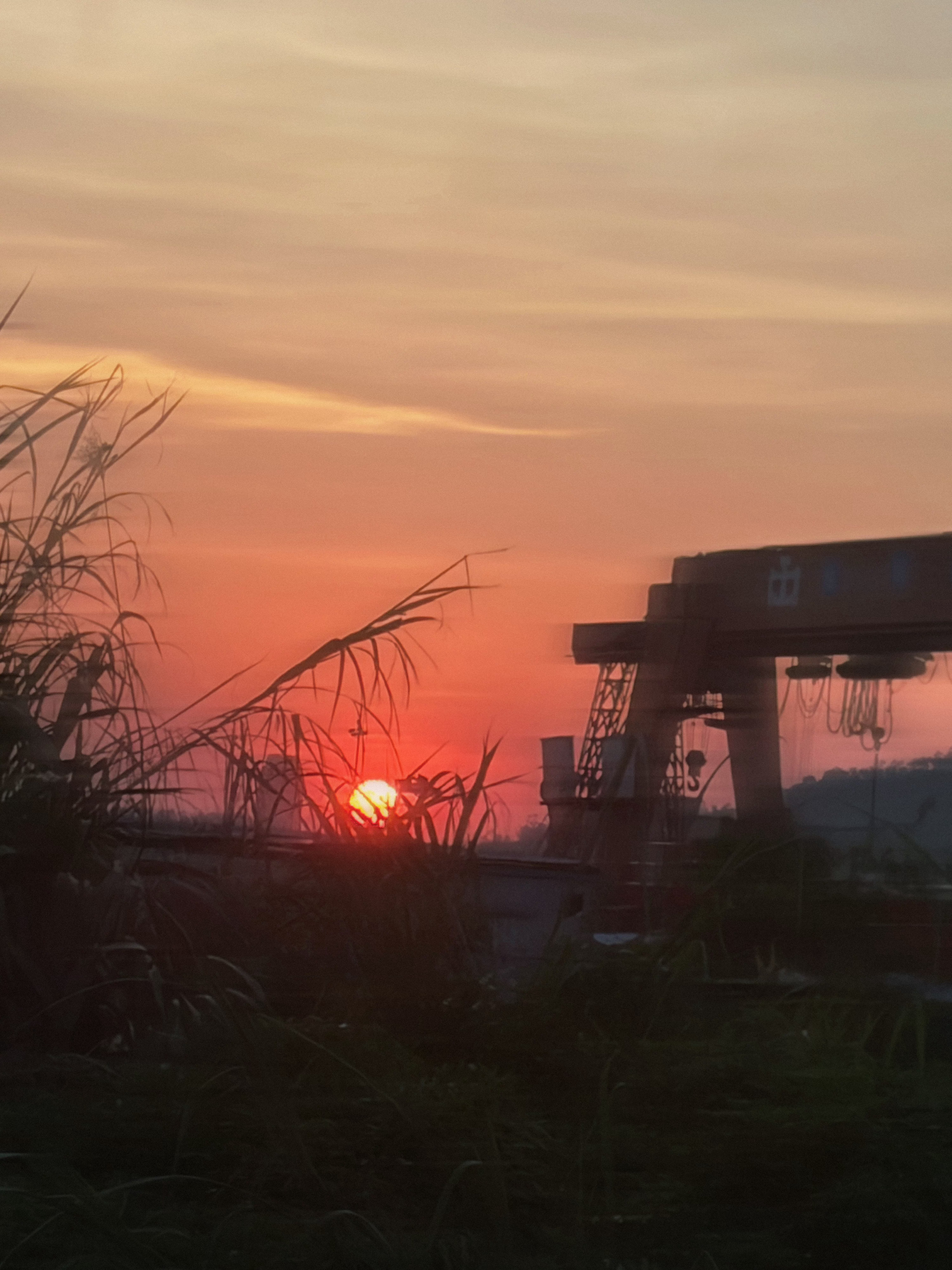 车开太快了，没拍到最美的夕阳只拍到了藏在路边乱糟糟草丛里 