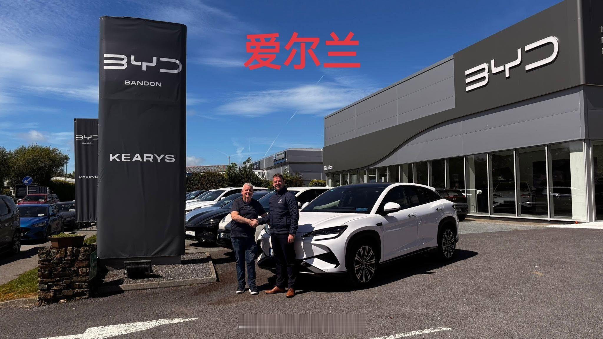 历史新高！首进前十！比亚迪爱尔兰7月销量（上牌）1166台，同比增长115%，排