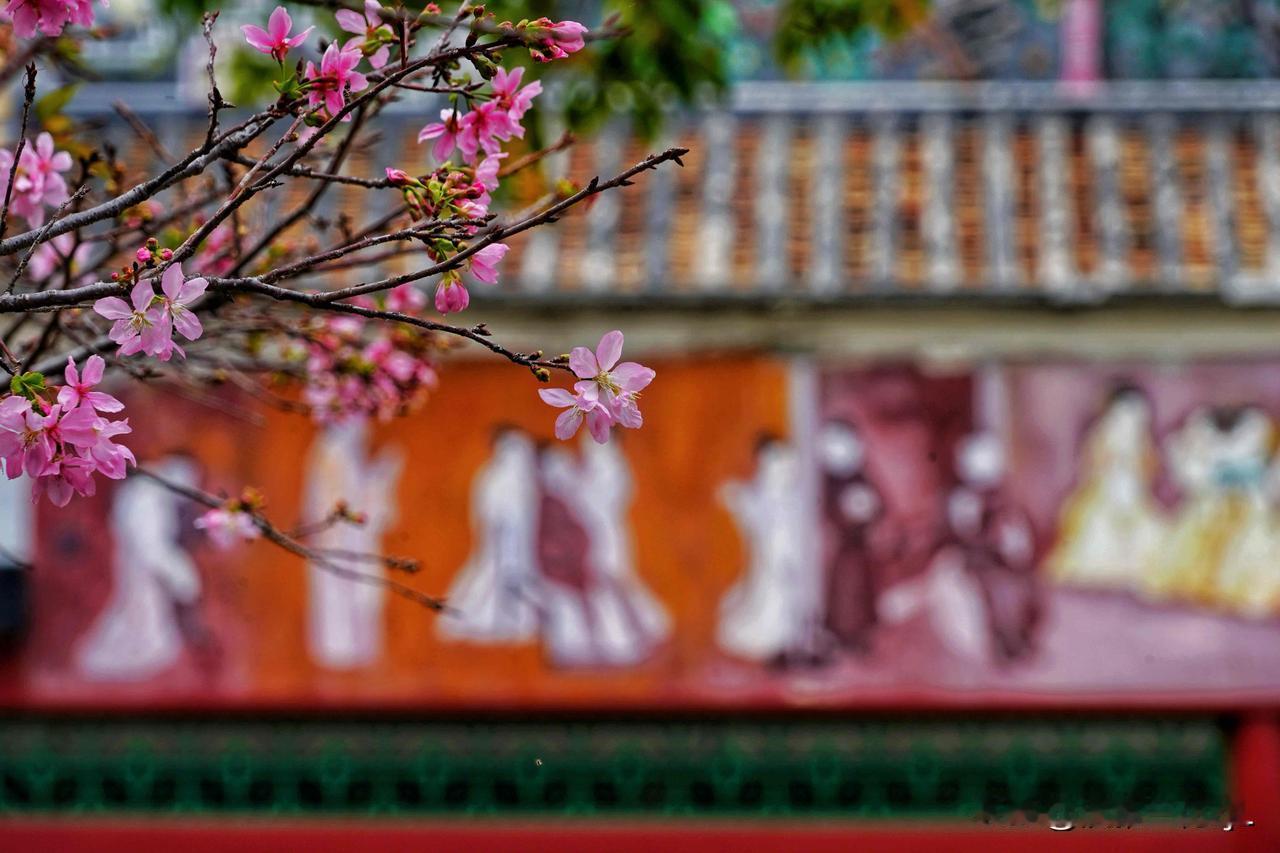 春色满园，花开正好。
宝墨园古典建筑与春日繁花相映衬托出东方的诗意。
【原创摄影