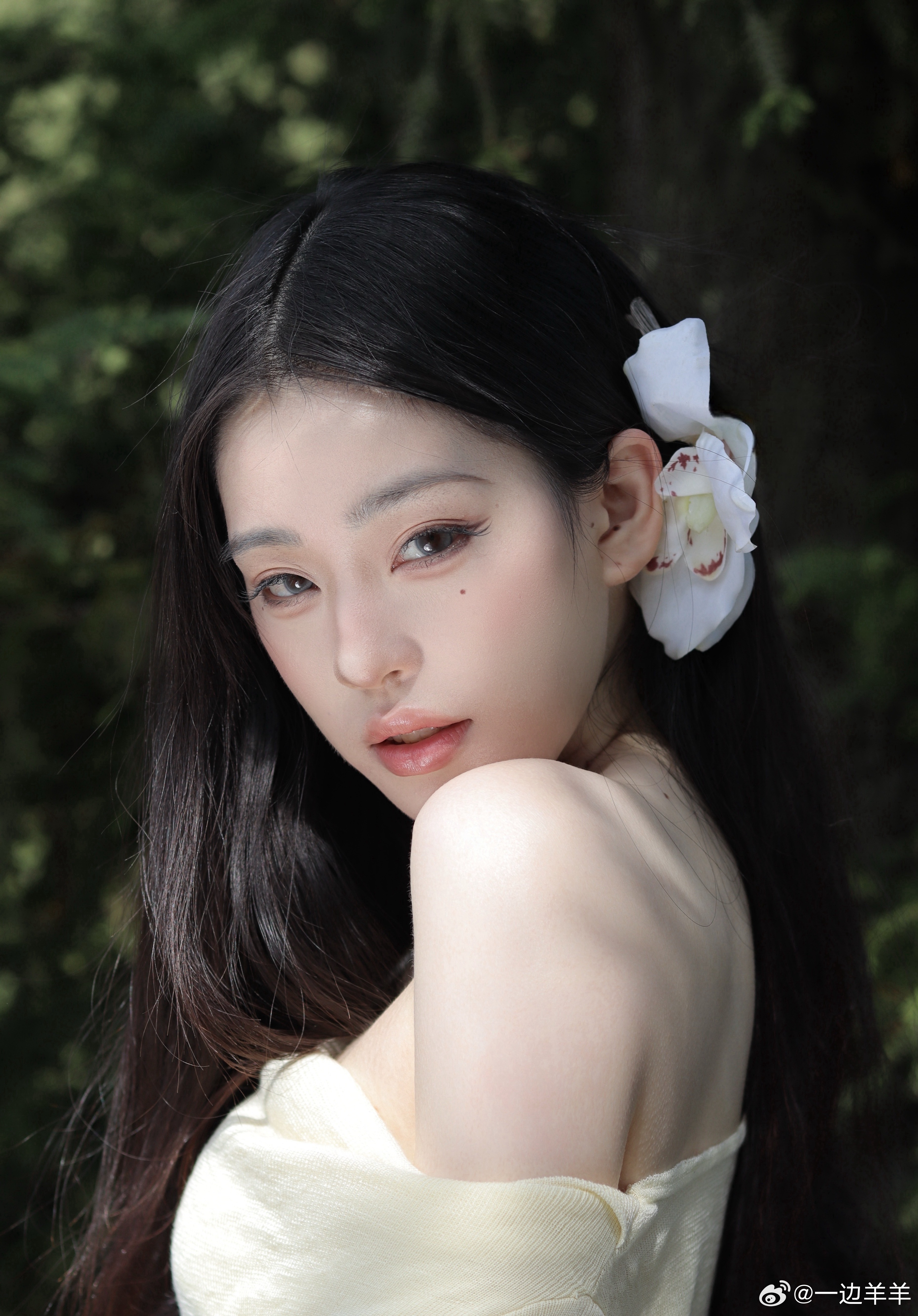 荒原的树 何时开花 ​​​