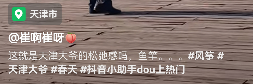 这就是天津大爷的松弛感吗？鱼竿风筝？放鱼？[求饶]#钓鱼##天津##雷军能不能生