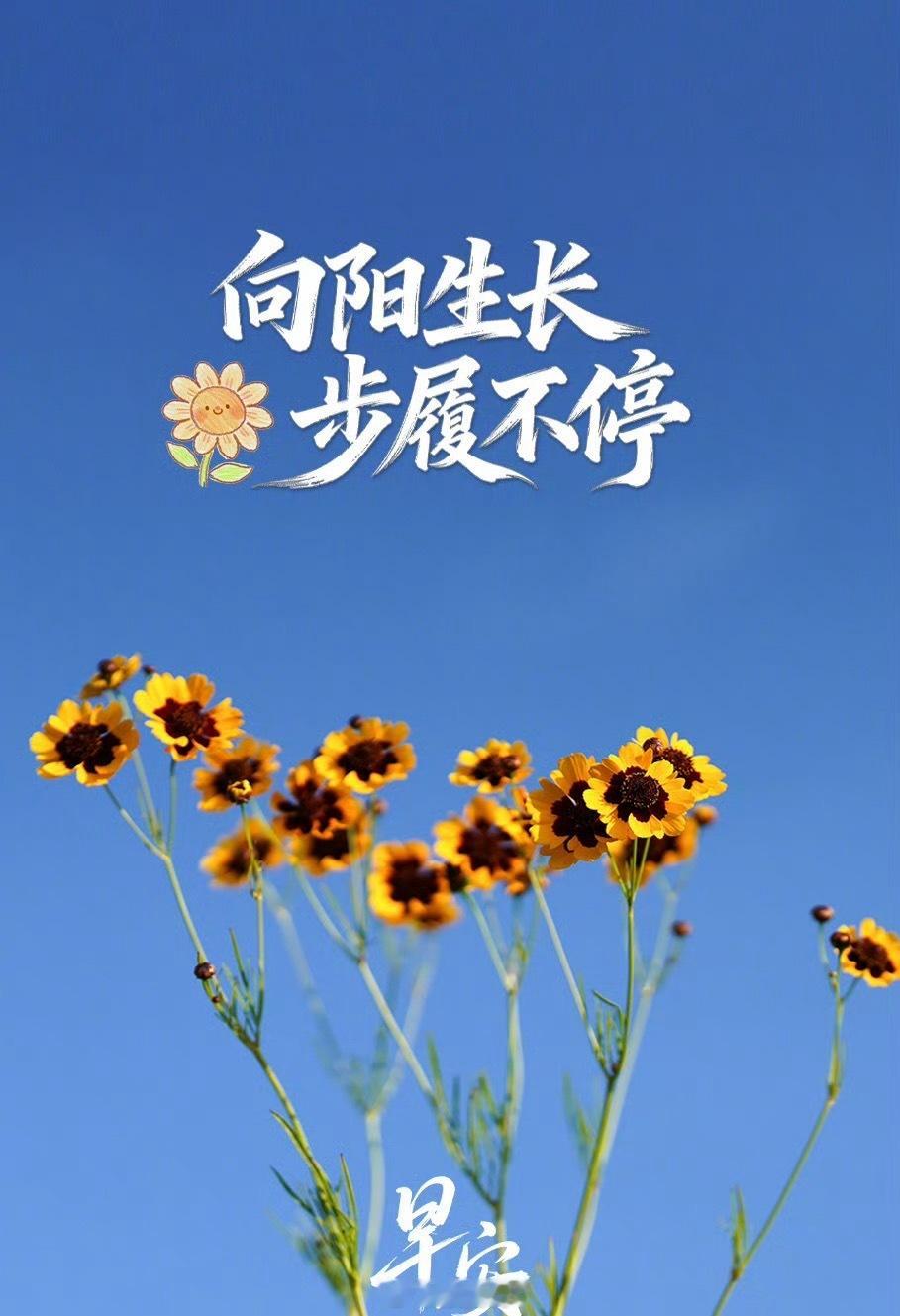 🌺 早安，热烈生长的你 🌺生命如花开，每一天都在绽放新的可能。真正的精彩，来