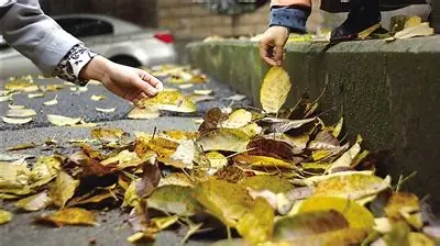 在广州第一次踩到落叶 南方的秋天从不会骤然降温🍂没有漫天萧瑟黄叶，却是走在路上