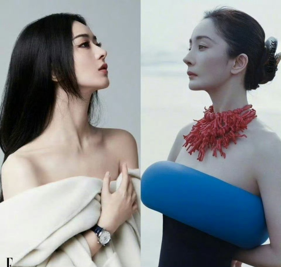 杨幂和赵丽颖 谁的侧脸更胜一筹？我怎么觉得丽神时尚表现力更佳？