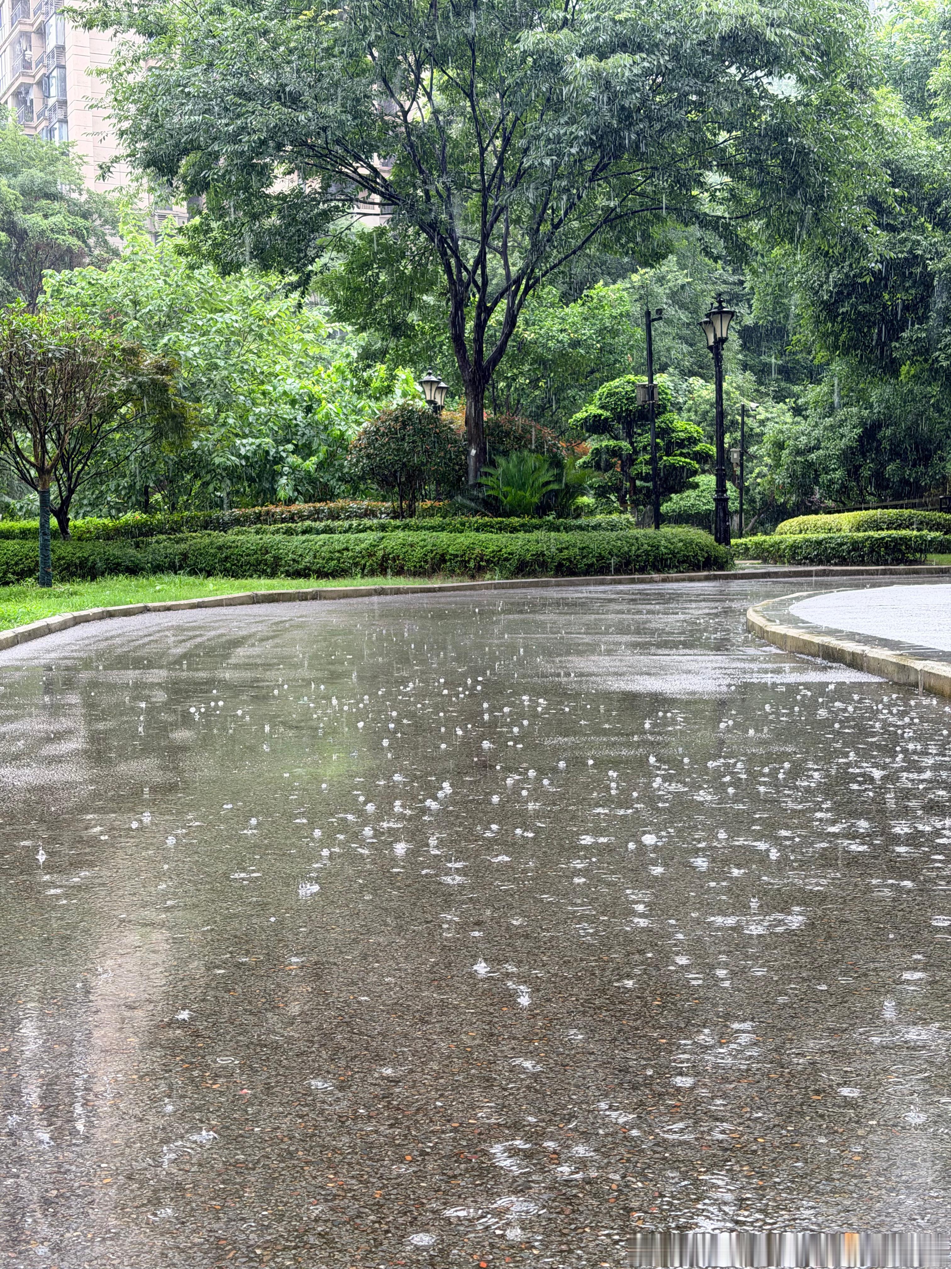 重庆又开始下雨了🌧️好凉快我的日常plog