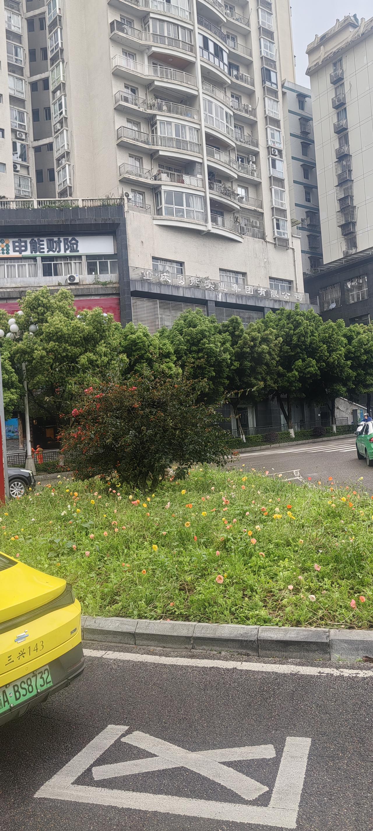 春风一吹，冰雪消融，枝头冒出新绿，心里积攒一整个冬天的期盼，也悄悄发了芽。谁的春