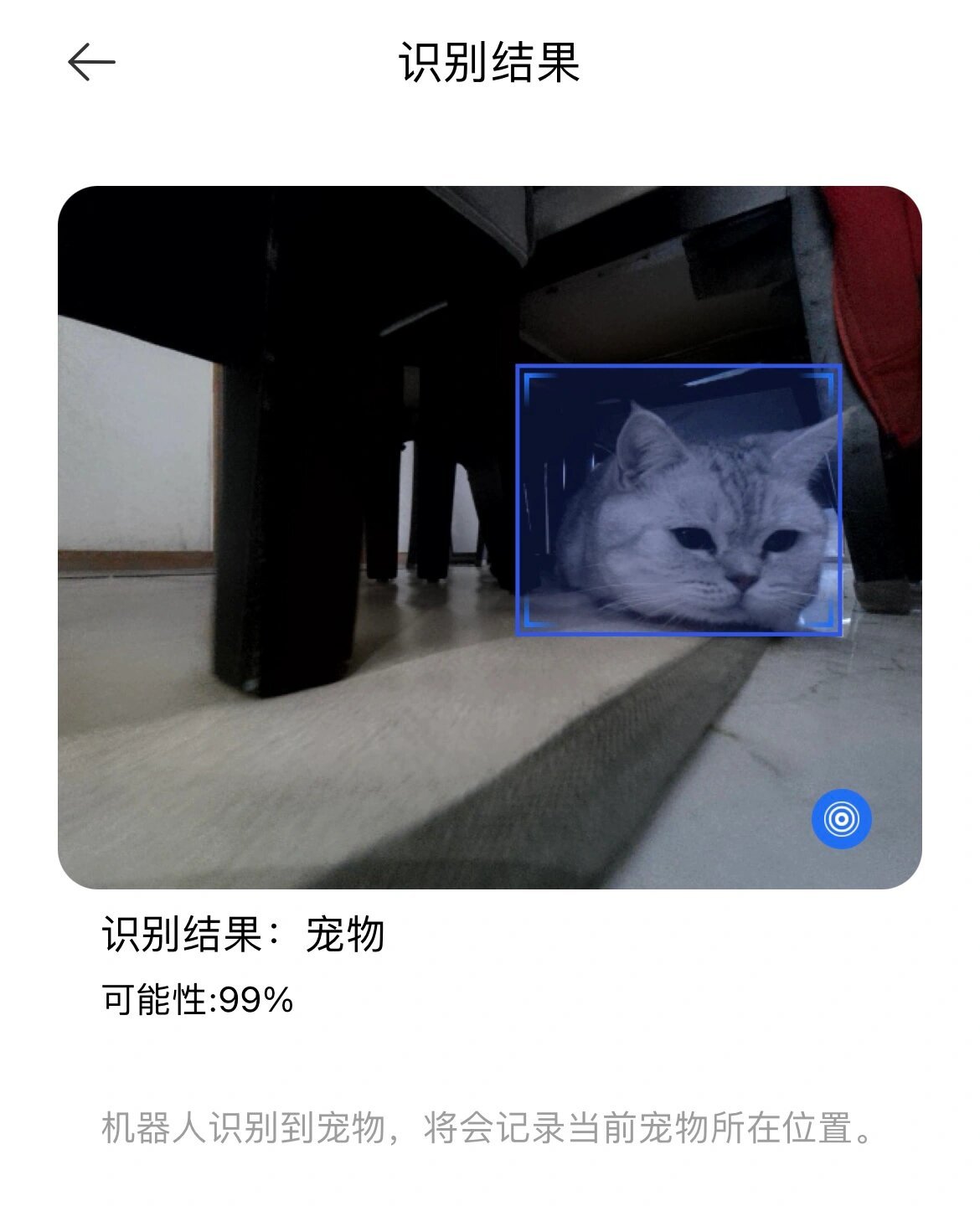 谁家小猫追着扫地机器人揍呀 ​​​