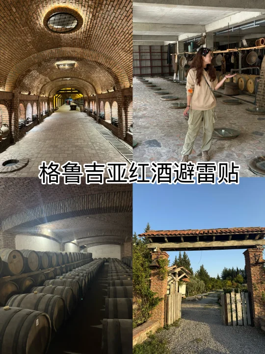 喜欢喝酒的不要错过❌-格鲁吉亚的酒厂