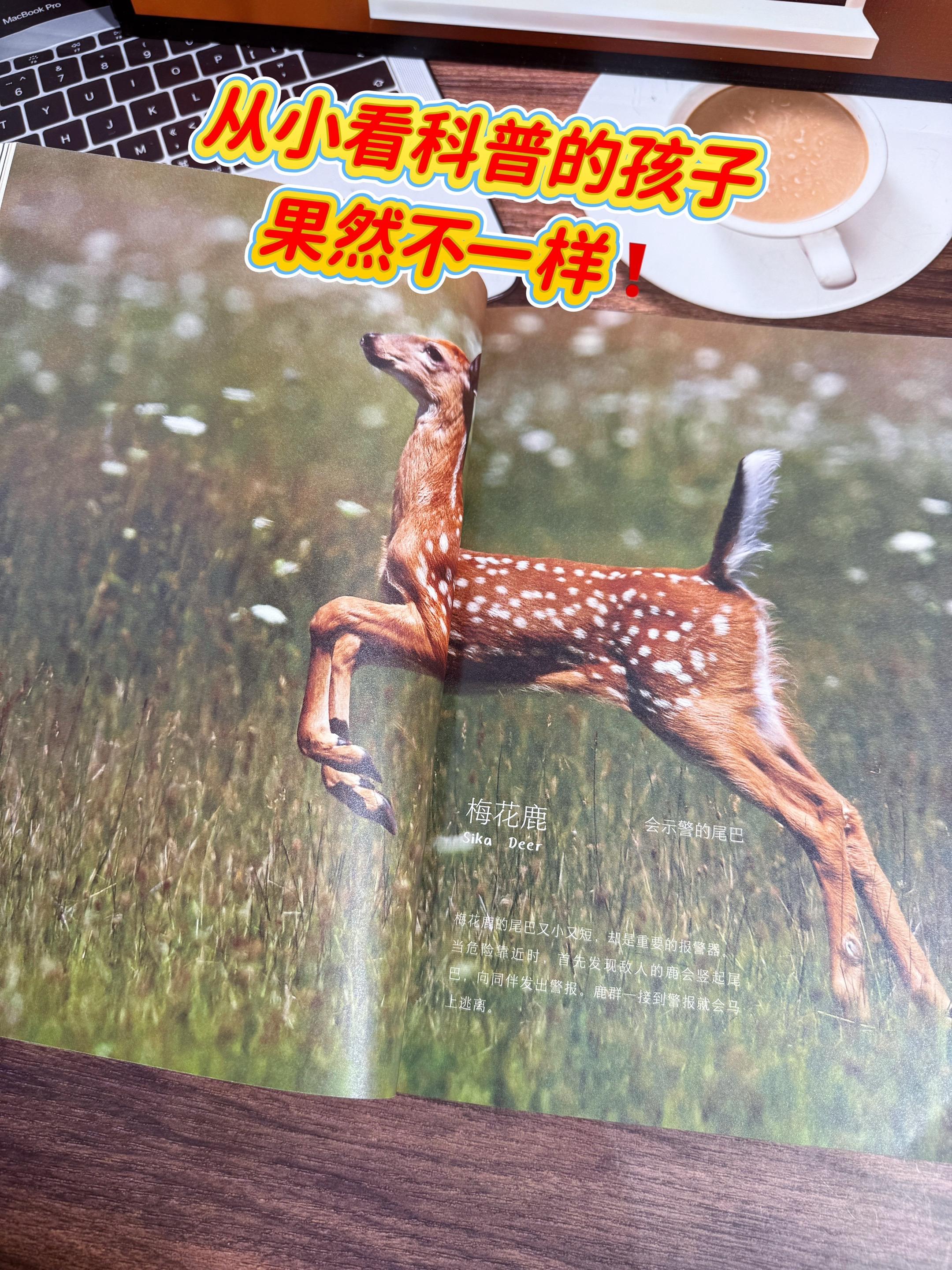 这本书真的太赞啦！孩子太喜欢啦🔥。这本书可以说把动植物搬回了家！还请...
