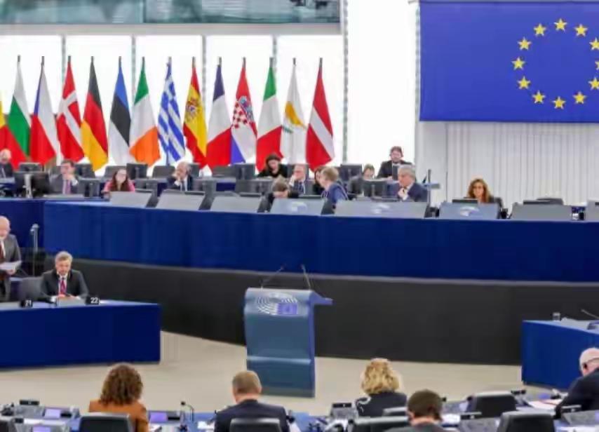 欧:麻溜把黎智英放了
中:凭啥  凭你们脸大吗
欧:经过我们欧家集体投票 503