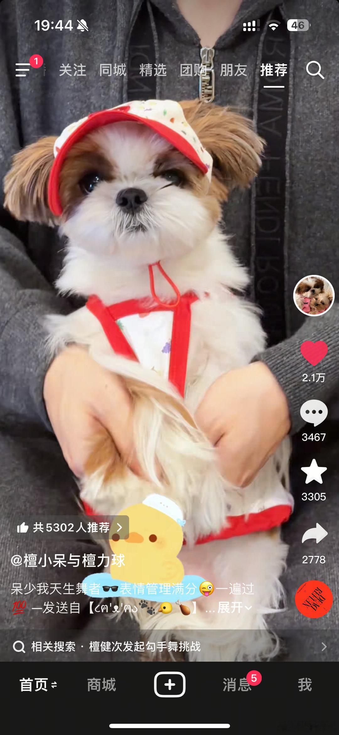 呆帝真的很爱小黄鸭，daddy也真的很爱檀小呆 