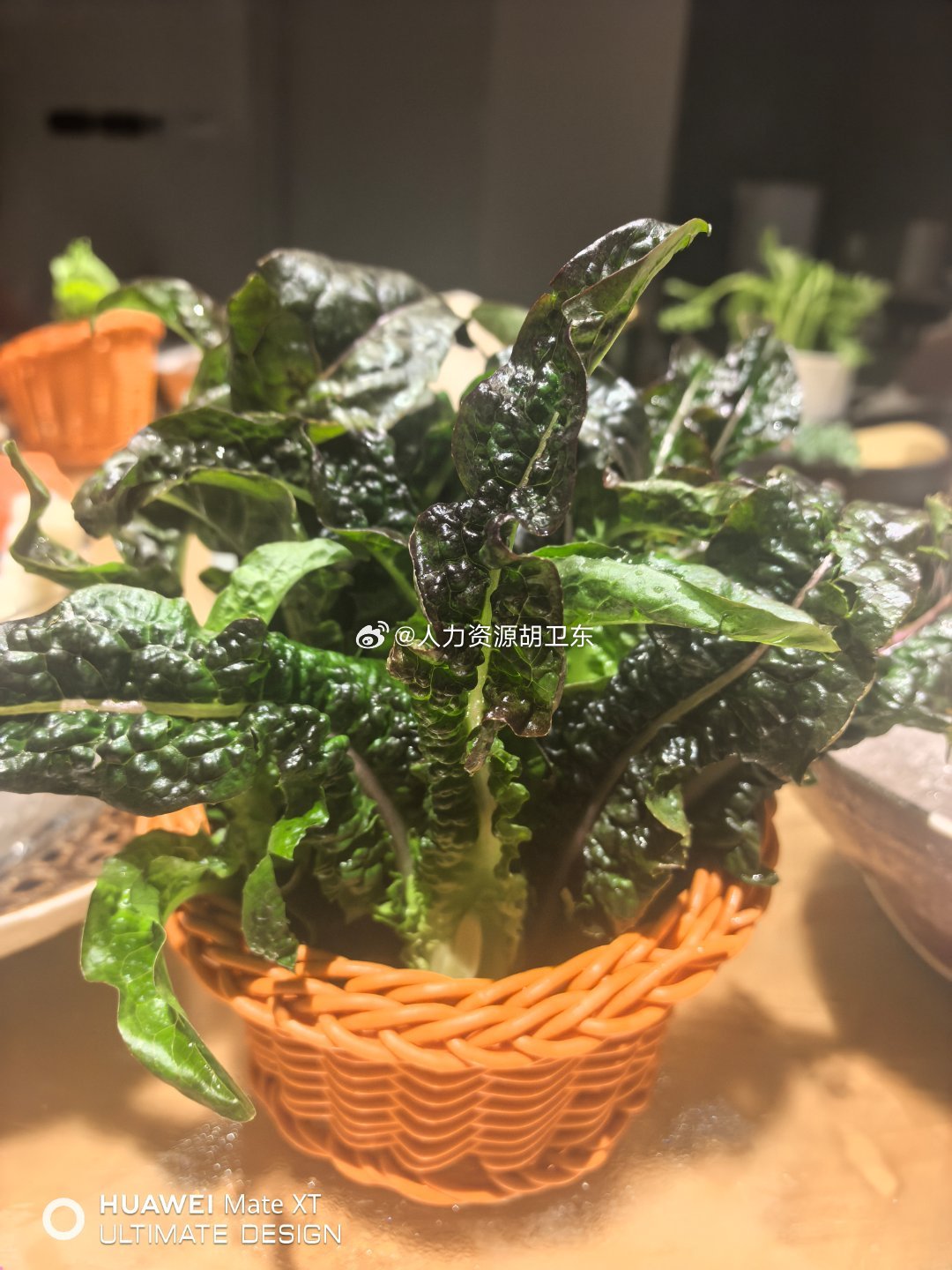 这是什么菜◔‸◔?蔬菜华为我的美食日记素食记录生活生活手记生活碎片随手记