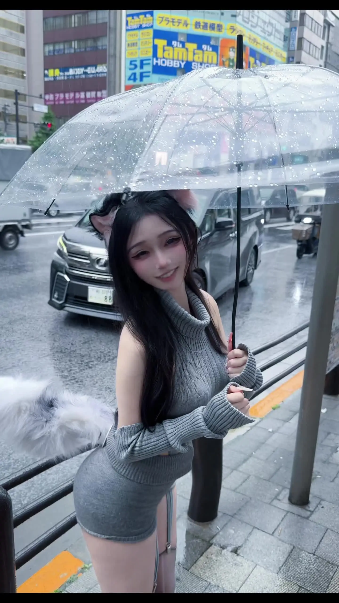 小猫的爱意是百分百的៸៸᳐⦁⩊<៸៸᳐ ੭ﾞ🐾
