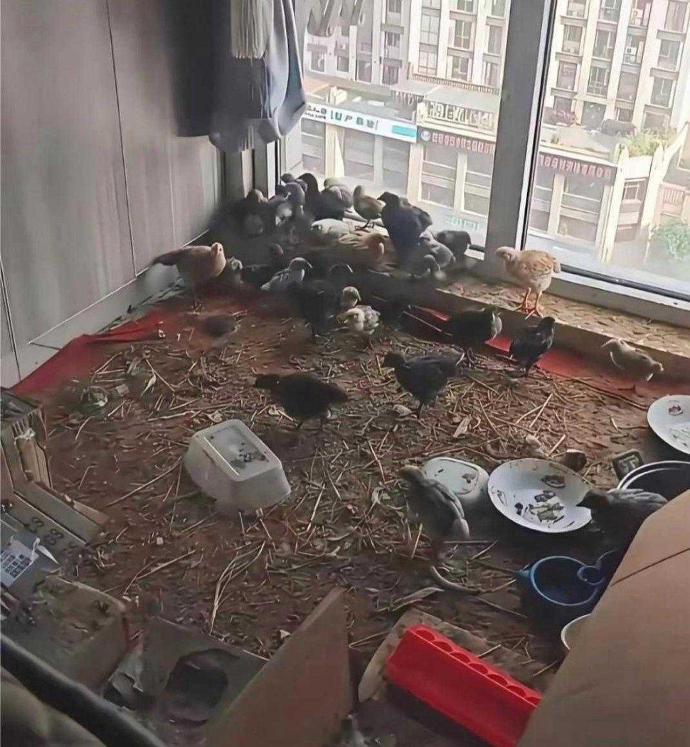乡下的丈母娘住我家半年，一间小卧室就变成这样了 