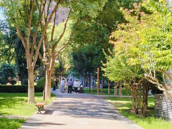 邻居家的孩子是个学霸，从大连理工大学毕业后远渡日本从事IT行业。
昨天在小区门口