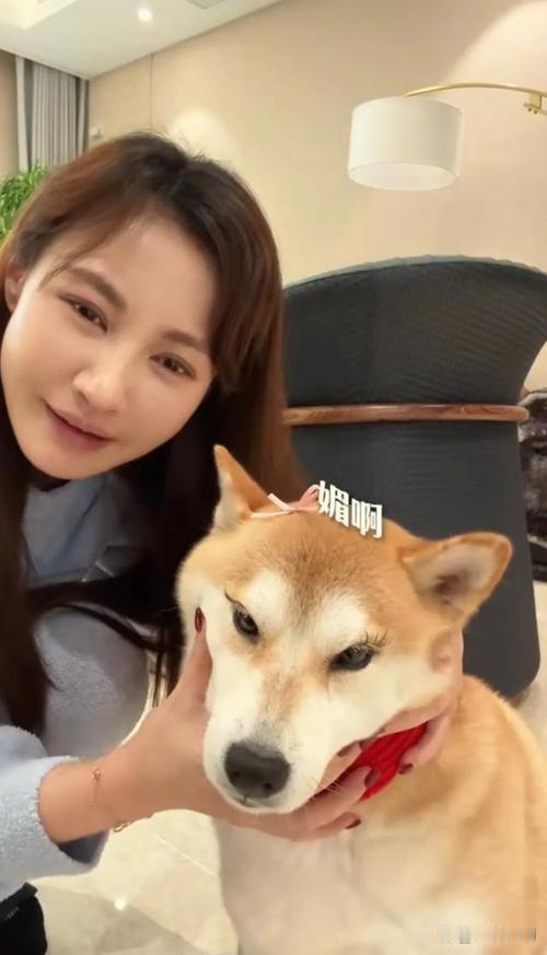杨雪谈及当年选择结婚，坦言并非一时冲动。她厌倦了演艺圈奔波忙碌的节奏，渴望安稳平