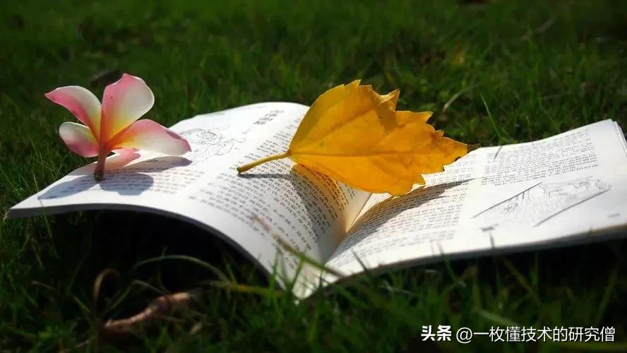 🔥2026年3月2日A股紧急操作方案｜大幅低开别慌！低吸+避险全攻略
大家早上