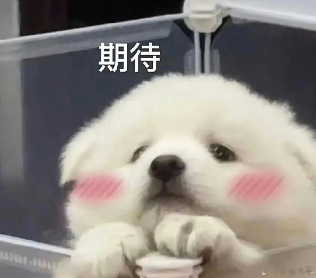孟羽童称时隔两年收到董明珠微信时隔两年终于和解了，天呐，这就是最好的结果。 ​​