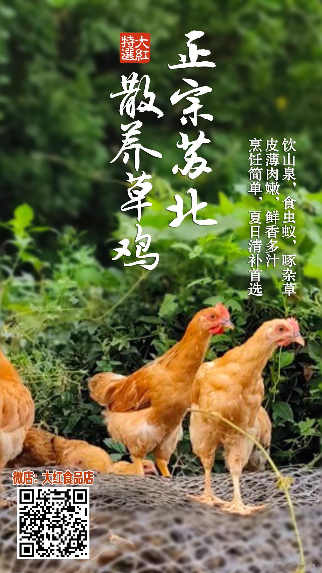 芒种过后，天渐渐热起来，以前家里讲究吃童子鸡补气补心。一个夏天前前后后要吃七八只