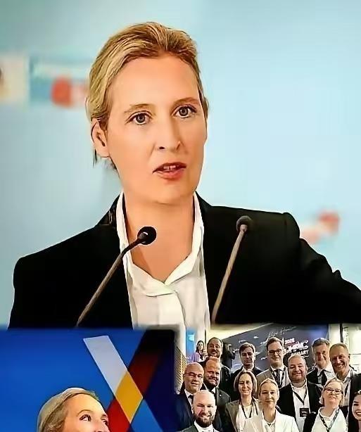 德国那些大人物，昨晚估计都没睡好。不是咖啡喝多了，是吓的。他们骂的那个“极右”政