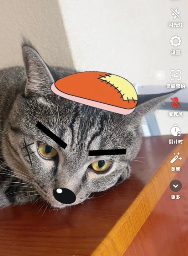 15752只狸灰太喵 