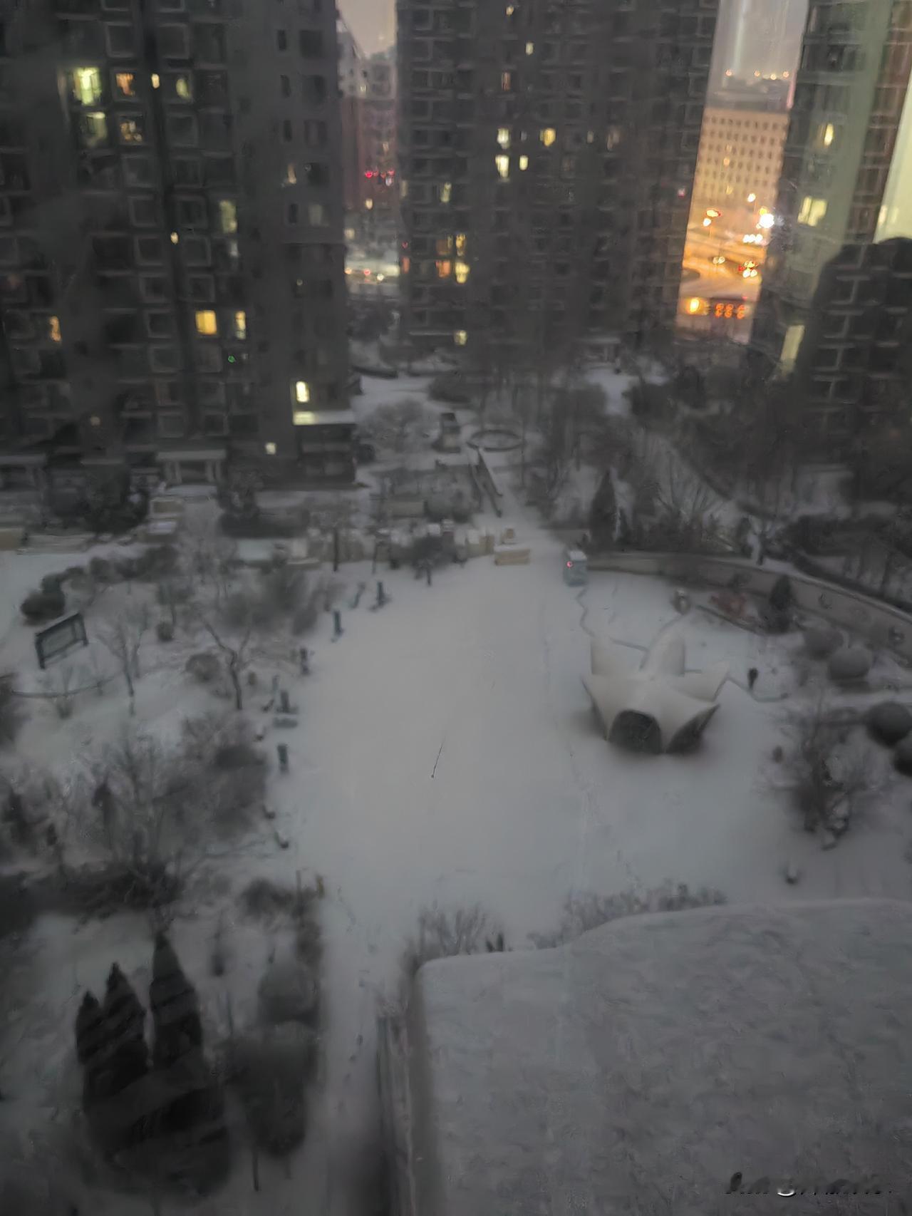 入冬后的第一场雪，
小孩子又有可玩的了。