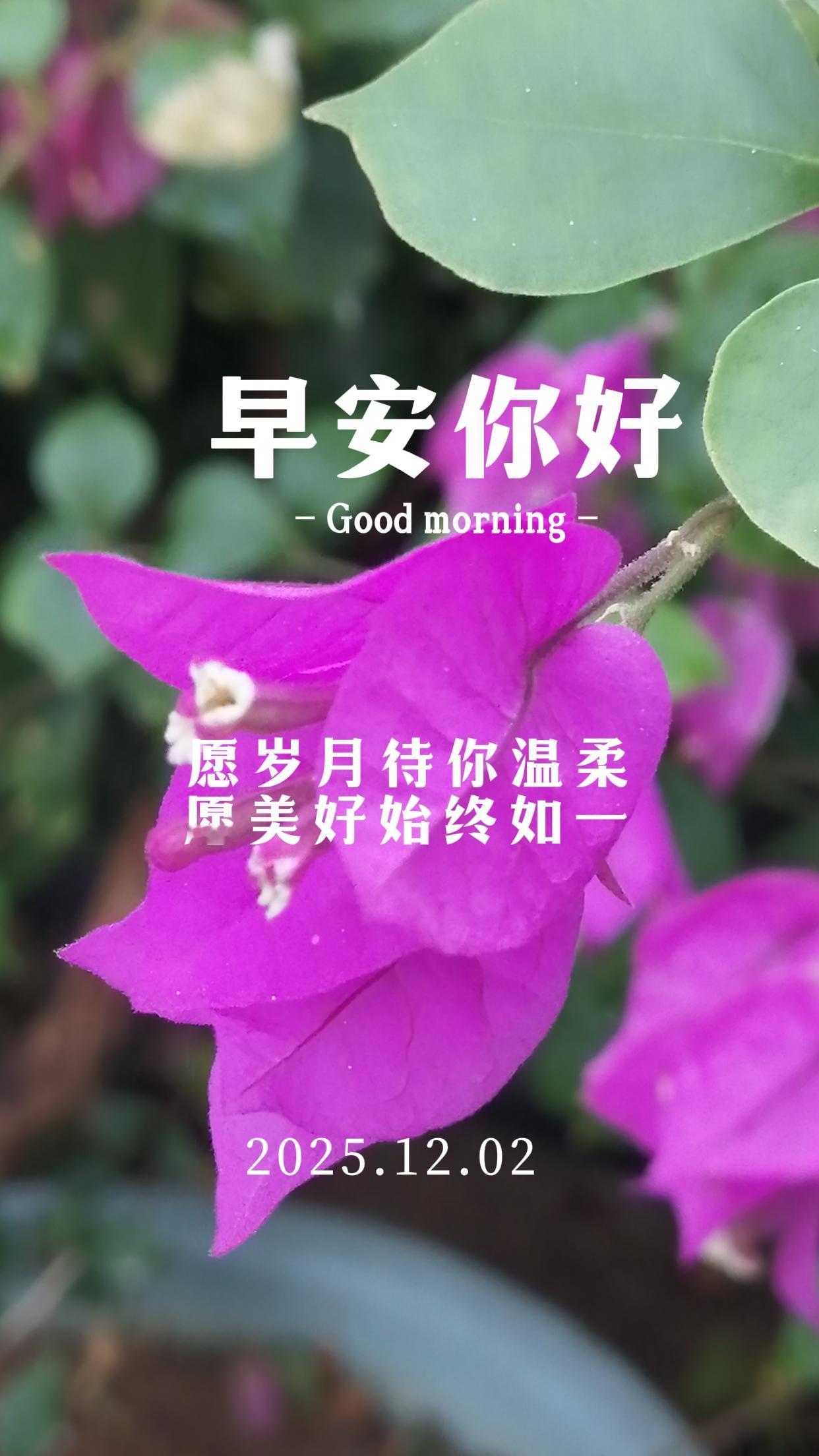 早安朋友！早安 早安今天 早安好心情 今日暖心的问候