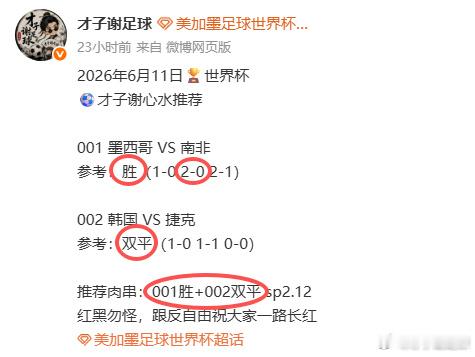 2026年6月11日🏆世界杯⚽️才子谢心水推荐003 加拿大 VS 波黑参考：