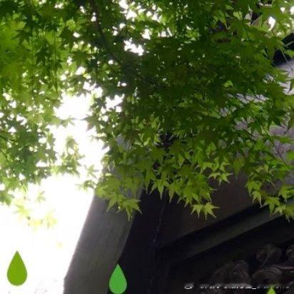 阳光信用阳光信用 每日一善也许，努力过后没能得到相应的回报，可毕竟我们都曾努力过