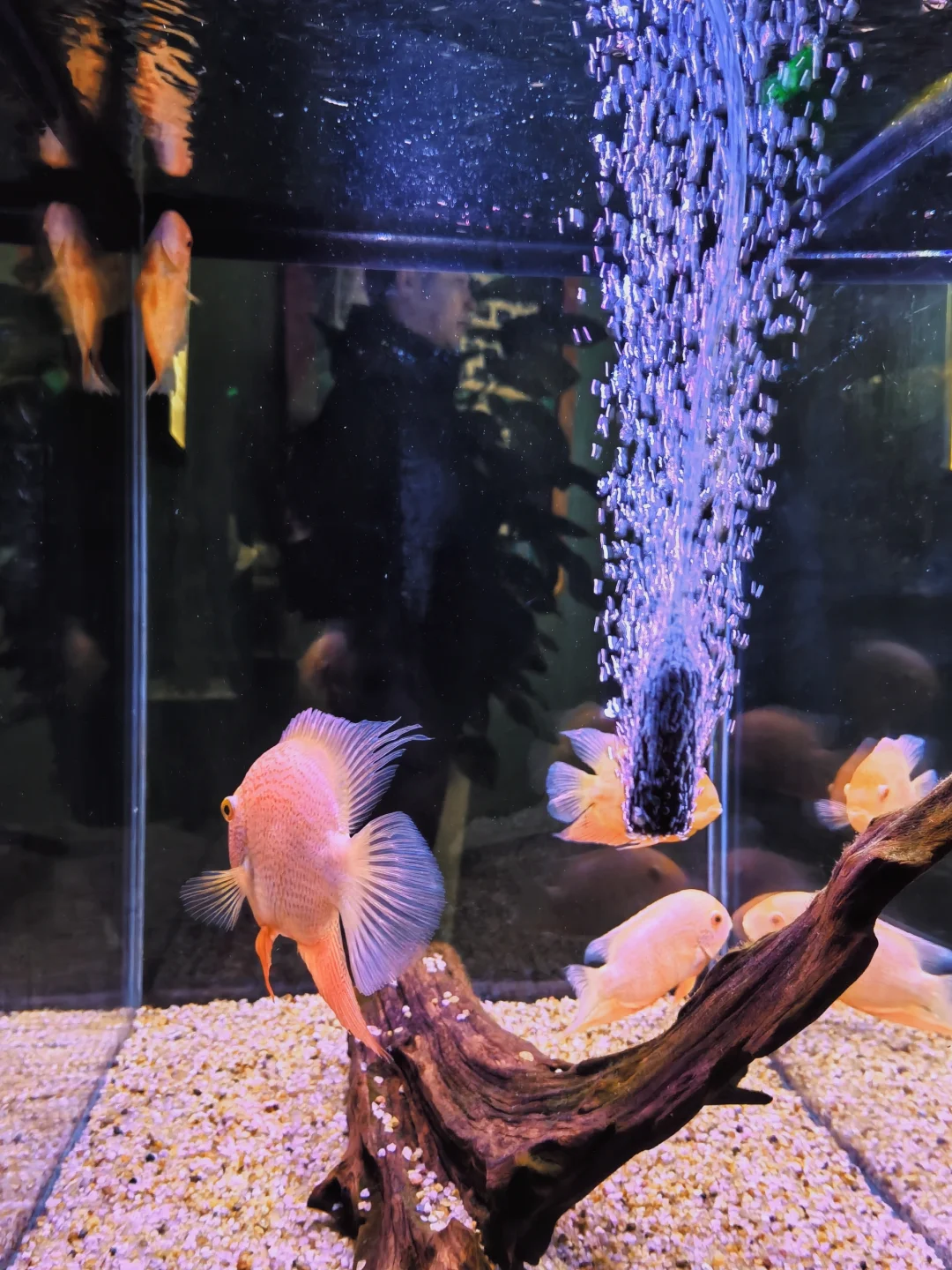 香港收入所得 向“内地”还是“香港”交税