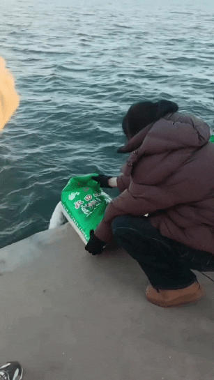 辽宁，一女子去海边游玩，突然看见好几个人在往海里倒东西，本以为他们是在喂鱼，结果