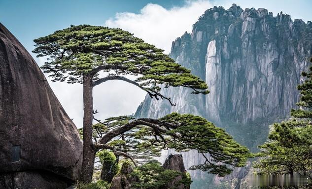 苍松苍劲立山巅，雾气蒙蒙像仙间～ 