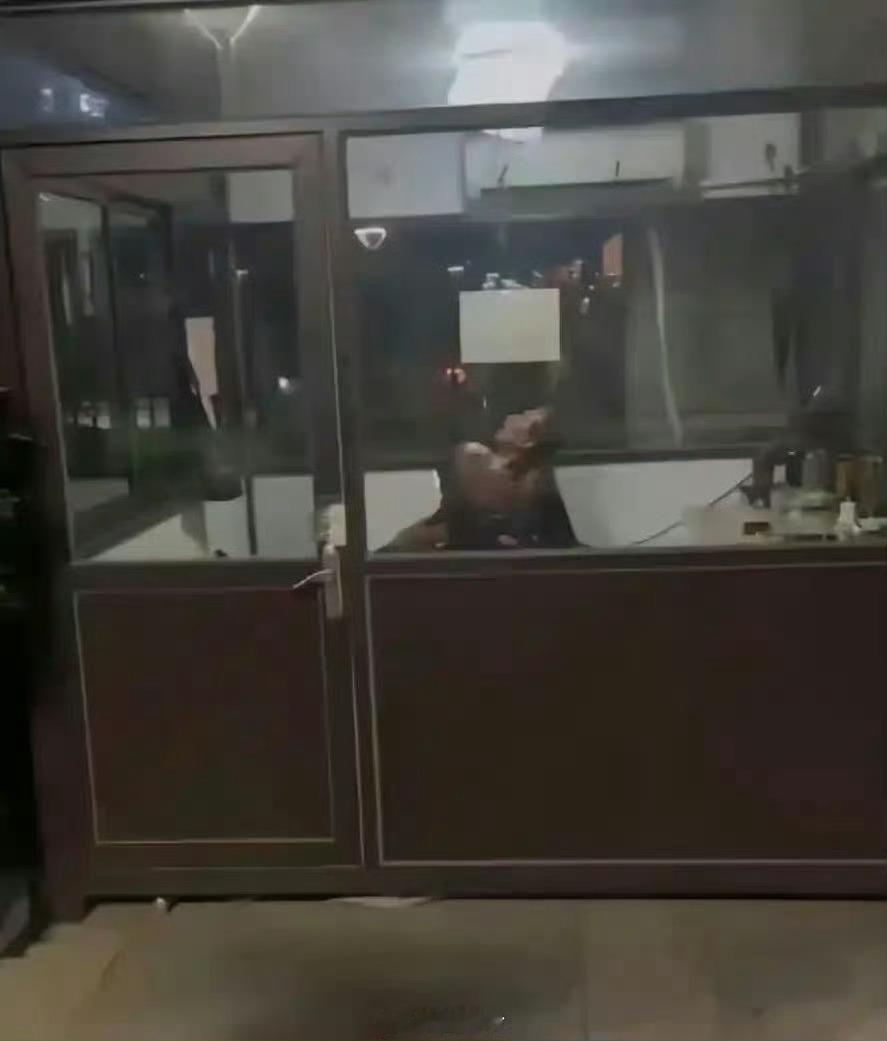 招这样的安保意义是什么？？？？ 