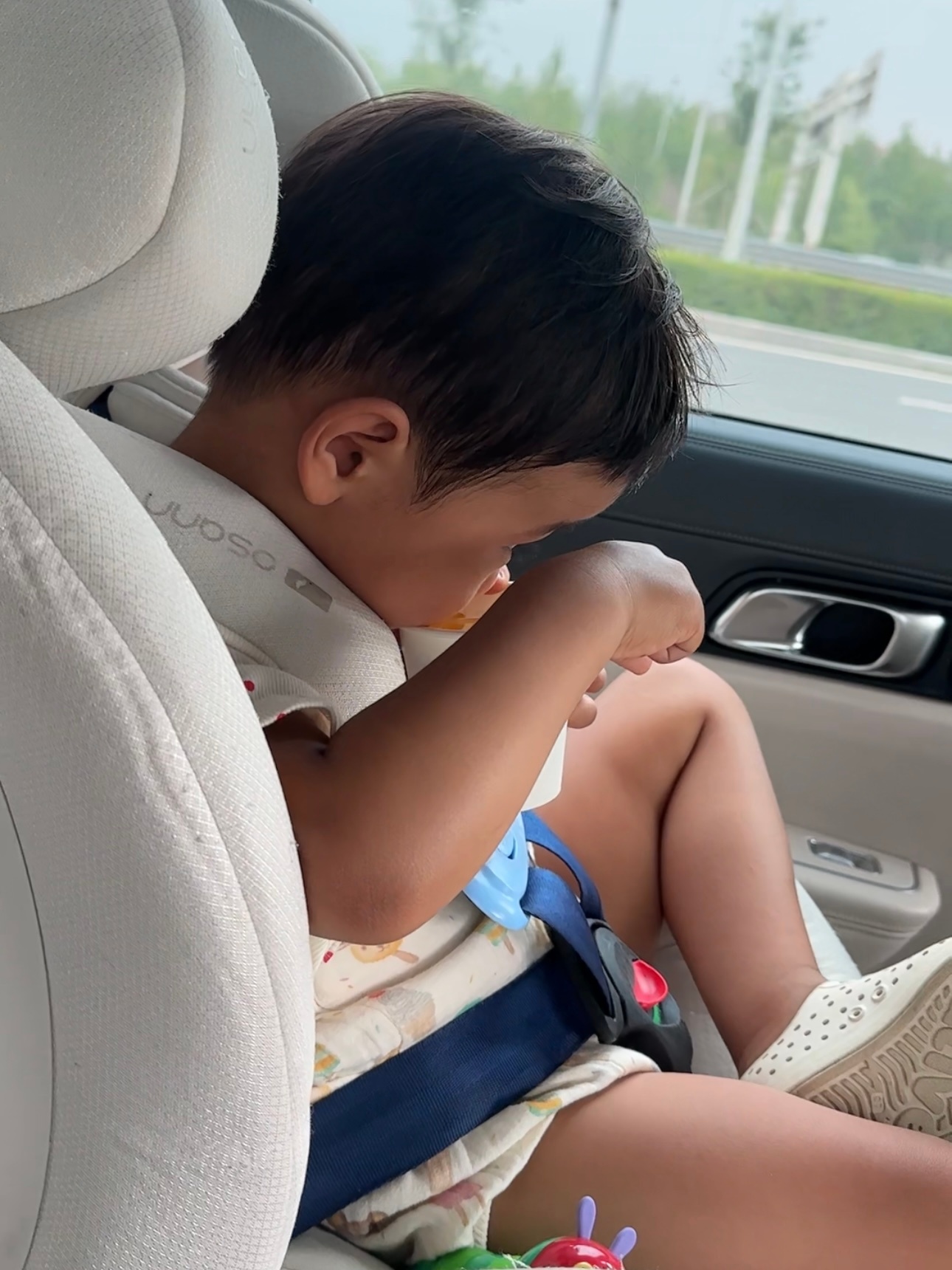 活动结束后孩子一上车： 