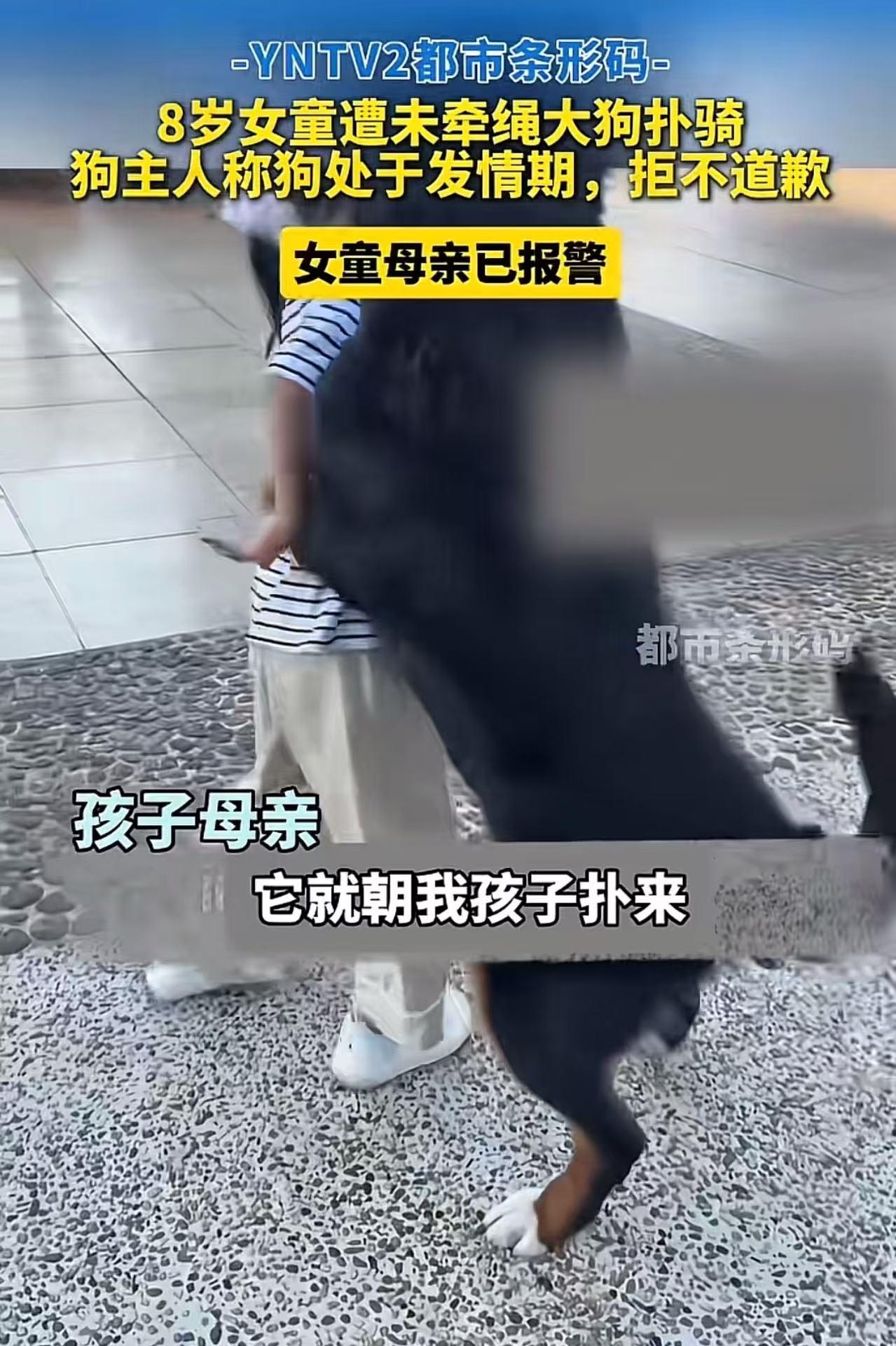 “这种狗主人比狗还要狗……”云南玉溪，8岁女童在路上玩，突然一只“发情”的大狗扑