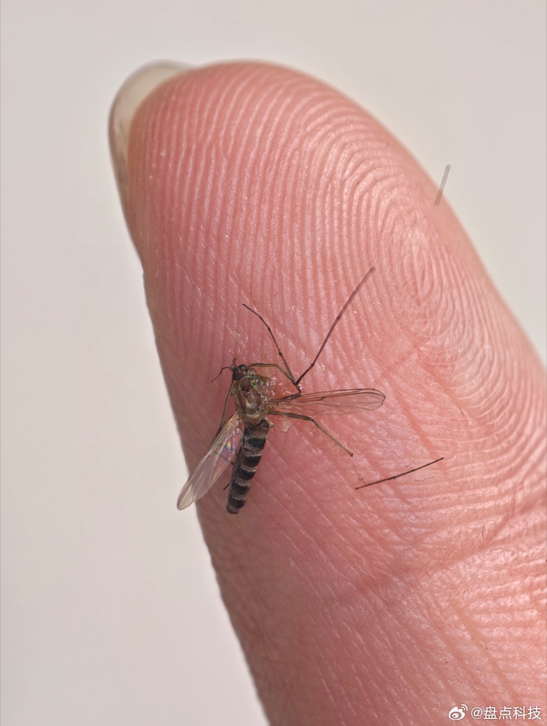 手机涨价会延长换机周期吗手机涨价是真，旧手机回收价涨了五六倍也是真——这就让人有