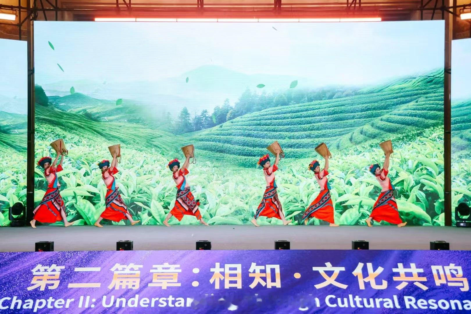 首届南亚东南亚网红创作者大会外眼看云南 汇聚多国创作力量，畅游云南万亩茶园，感受