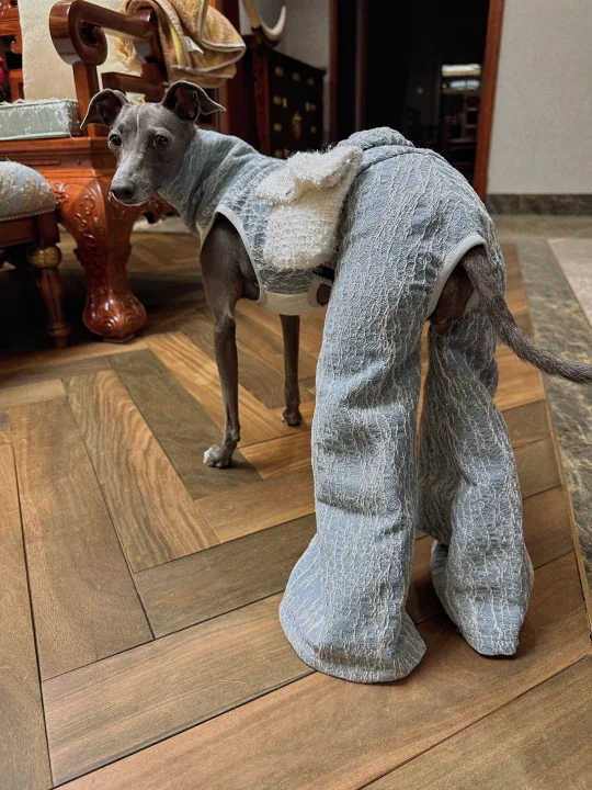 这该死的九头身比例