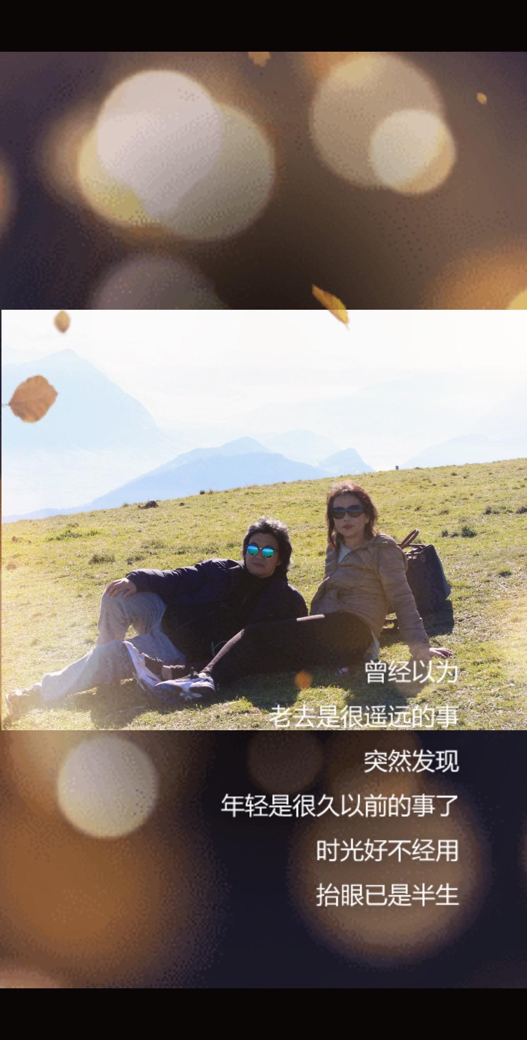 户外草原风光 草场之旅 草甸小憩 草甸上的欢乐时光