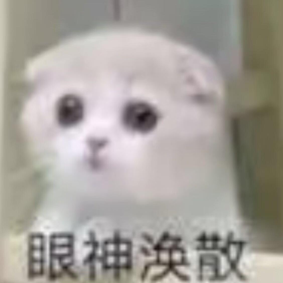 0200请相信，你心中每一次善念的萌动，你手中每一次善意的传递，无论多么微小，都