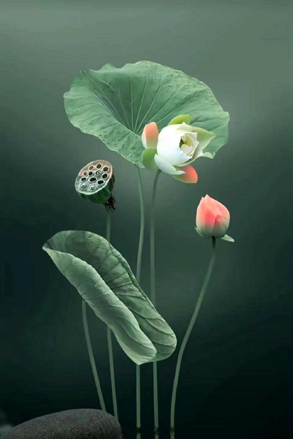 事缓则圆，人缓则安，语迟则贵。——曾国藩 ​​​