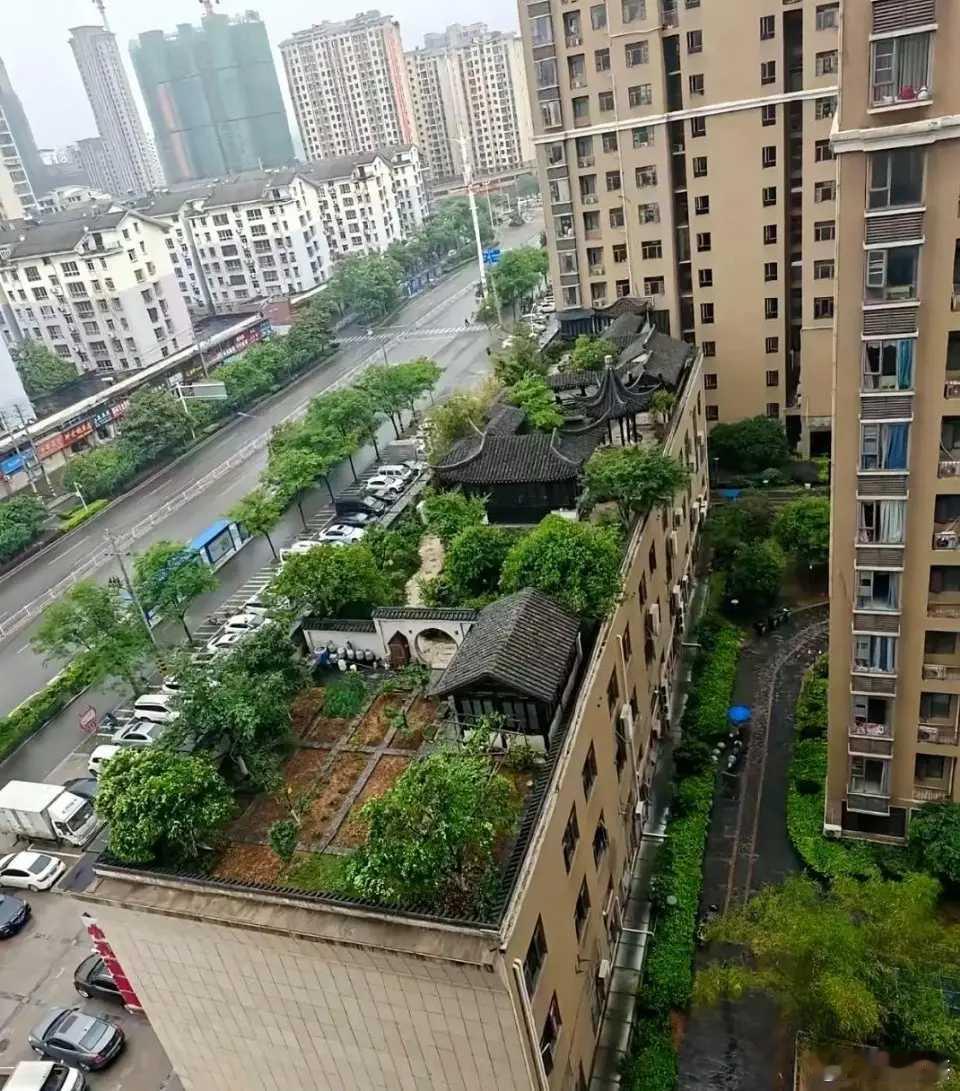 这是不是违建？ ​​​