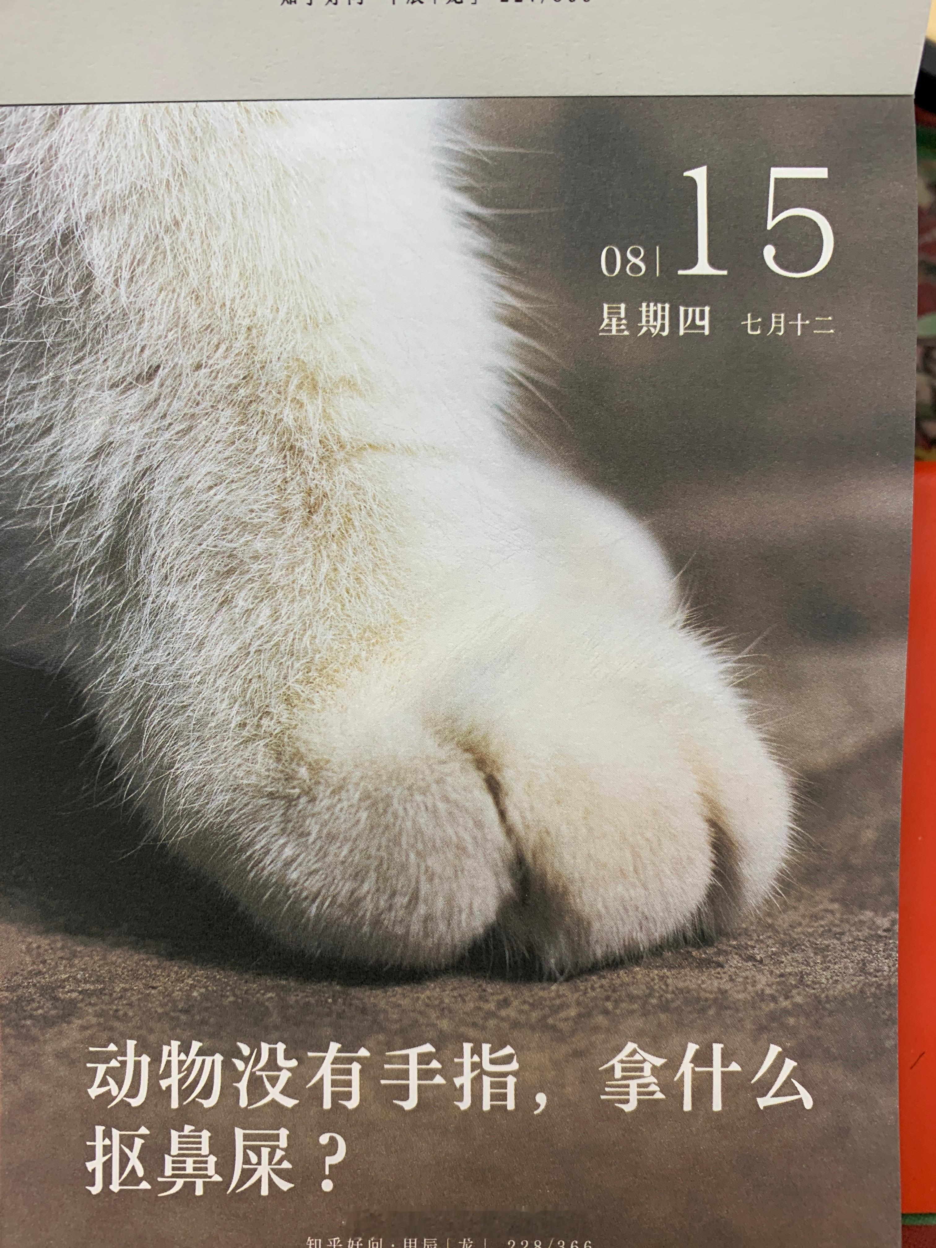 早安朋友们～ ​​​
