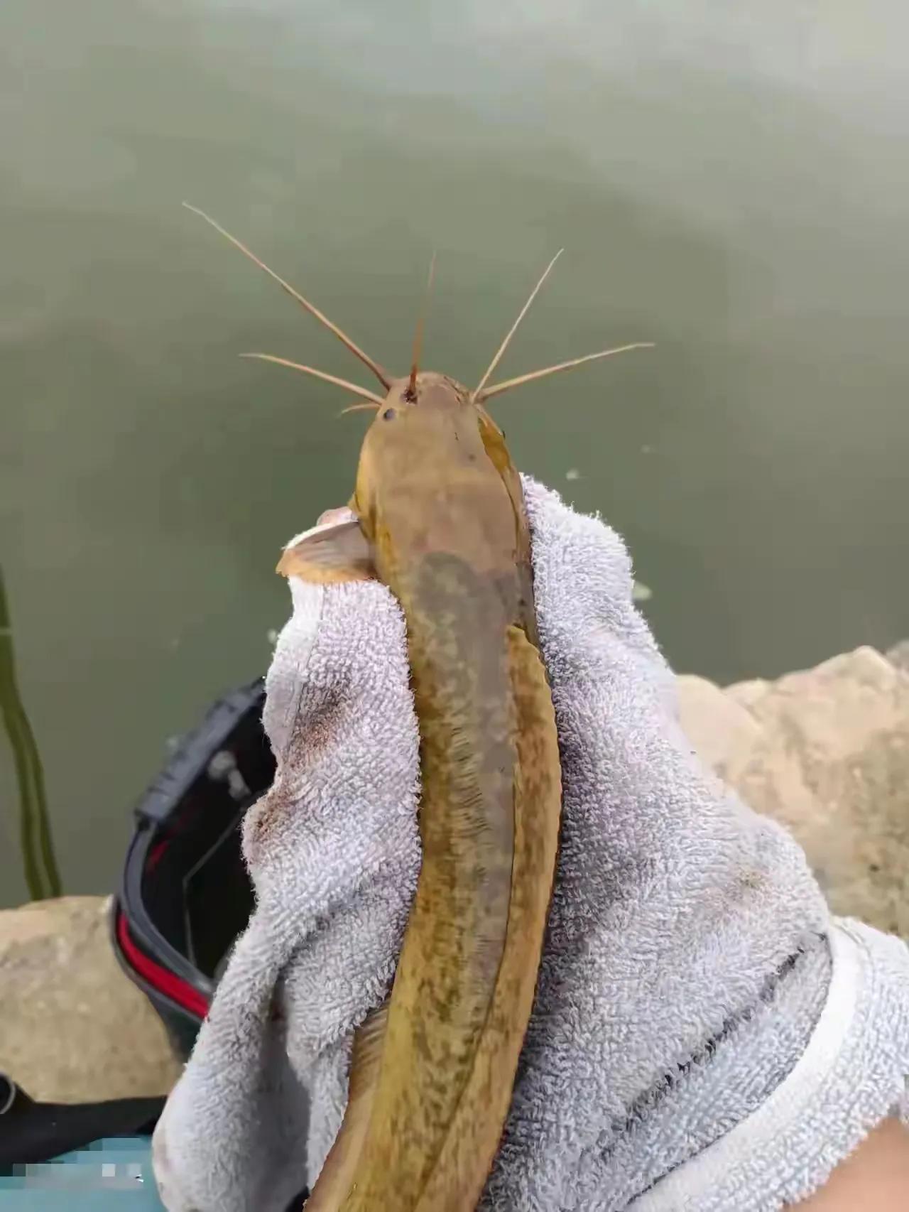 广东的一个中年男子，平时都是在公司上班的，他虽然说不抽烟，也不喝酒，但是他有个习