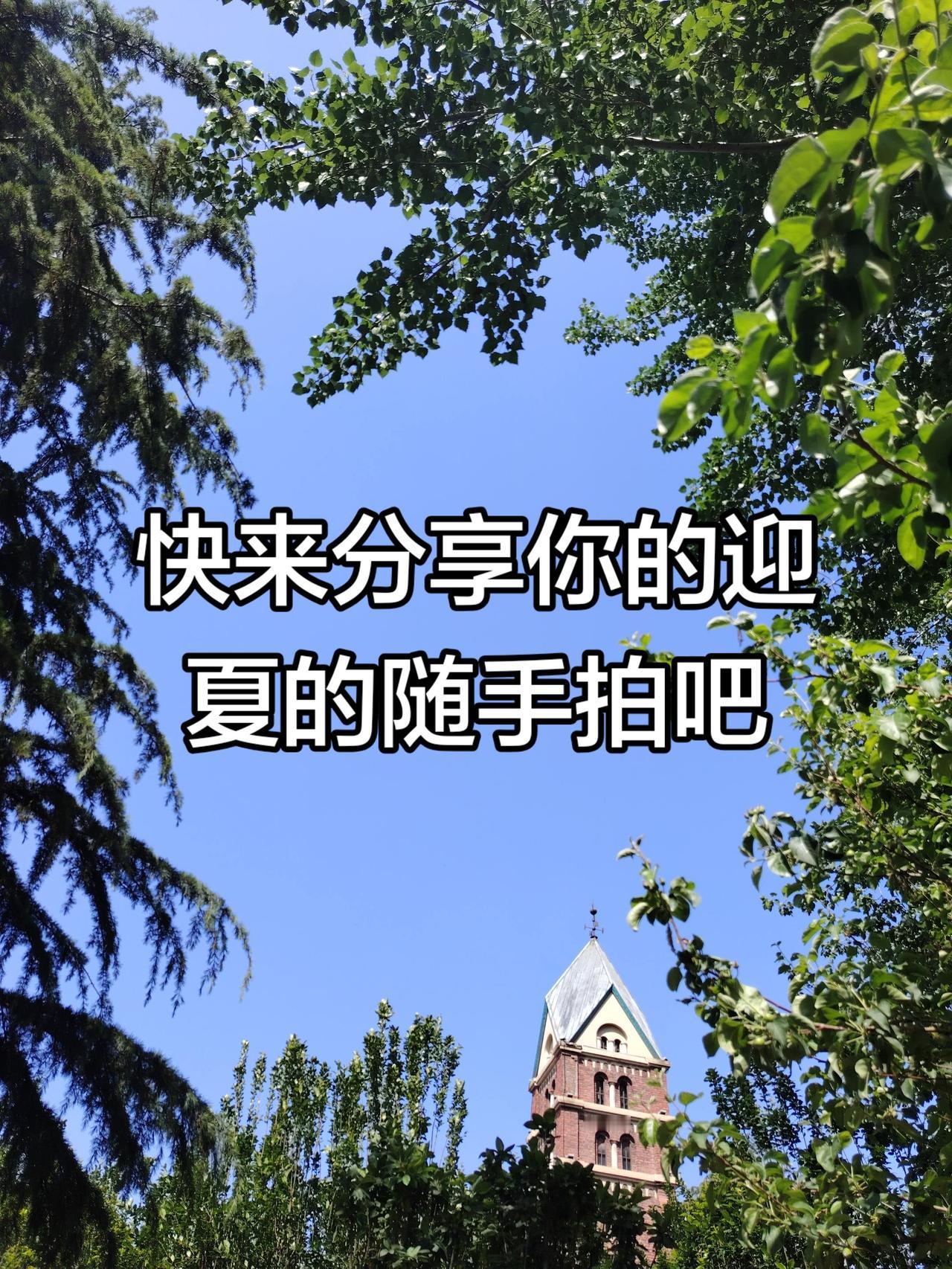 前奏一响夏日来临，有风有树有阳光