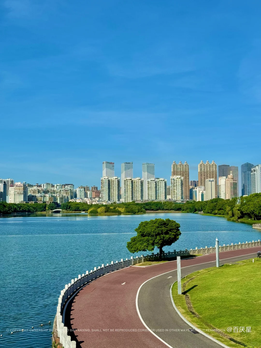我和秋天有个约会❤️南宁的海🌊和孤独的树🌳