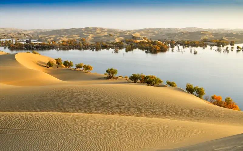 有人给治理塔克拉玛干沙漠，出了个怪招。不种树，不砸钱浇水，反过来，给整个沙漠盖上