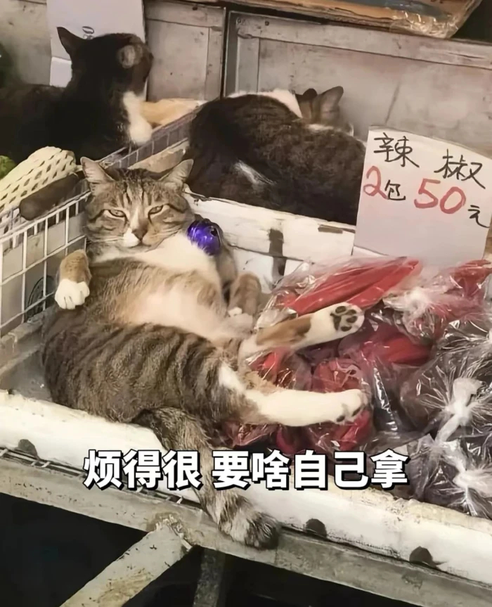 我上班的态度👇 ​​​