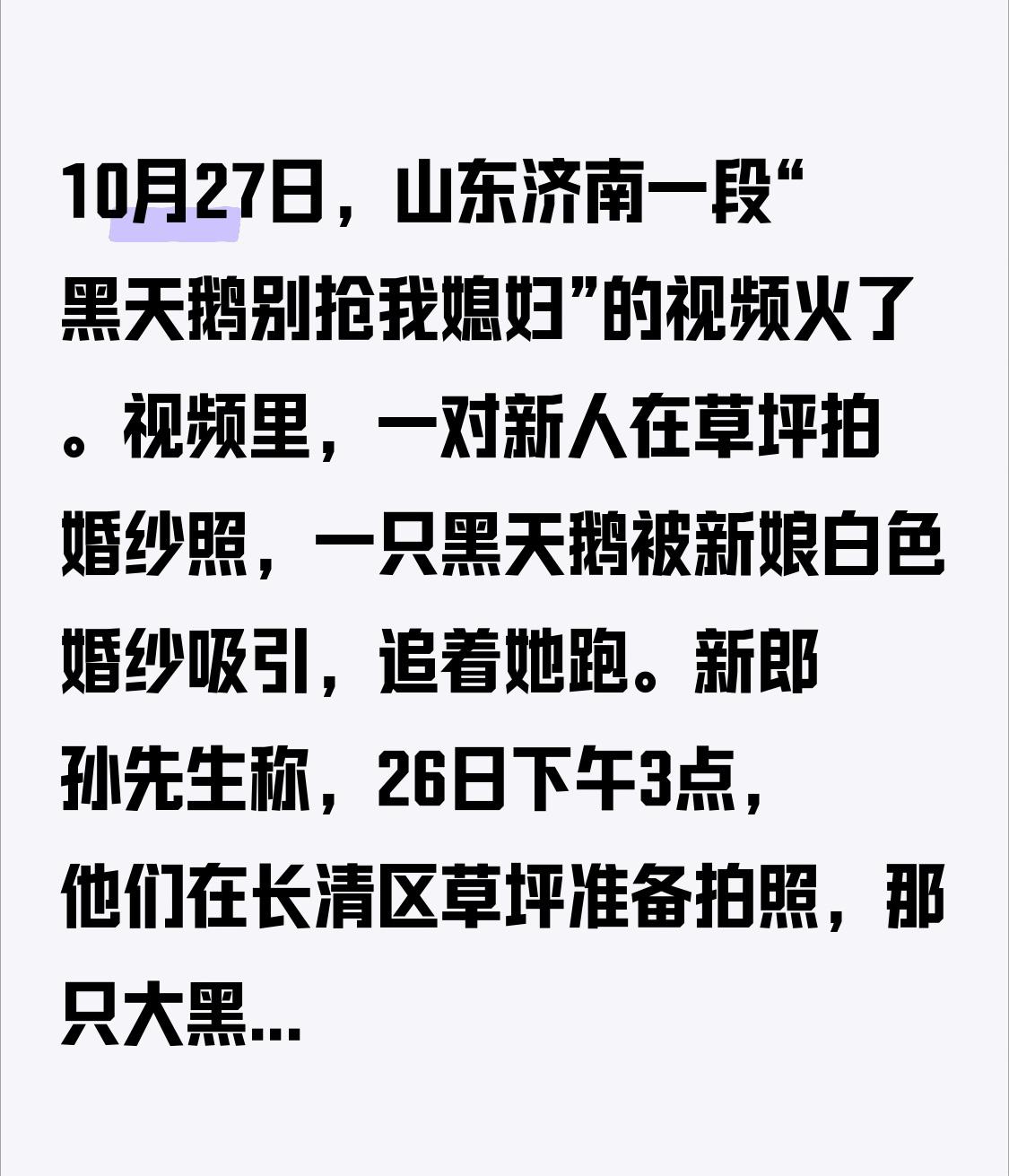 10月27日，山东济南一段“黑天鹅别抢我媳妇”的视频火了。视频里，一对新人在草坪